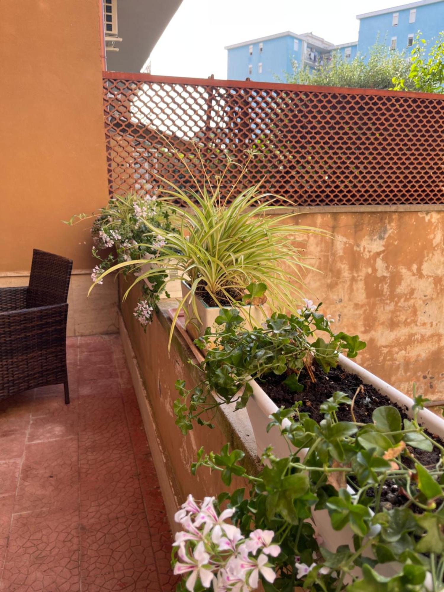 Oleander Apartment Castellammare di Stabia Esterno foto